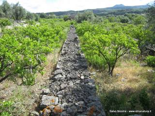 ndolito-11-06-2014 07-40-47